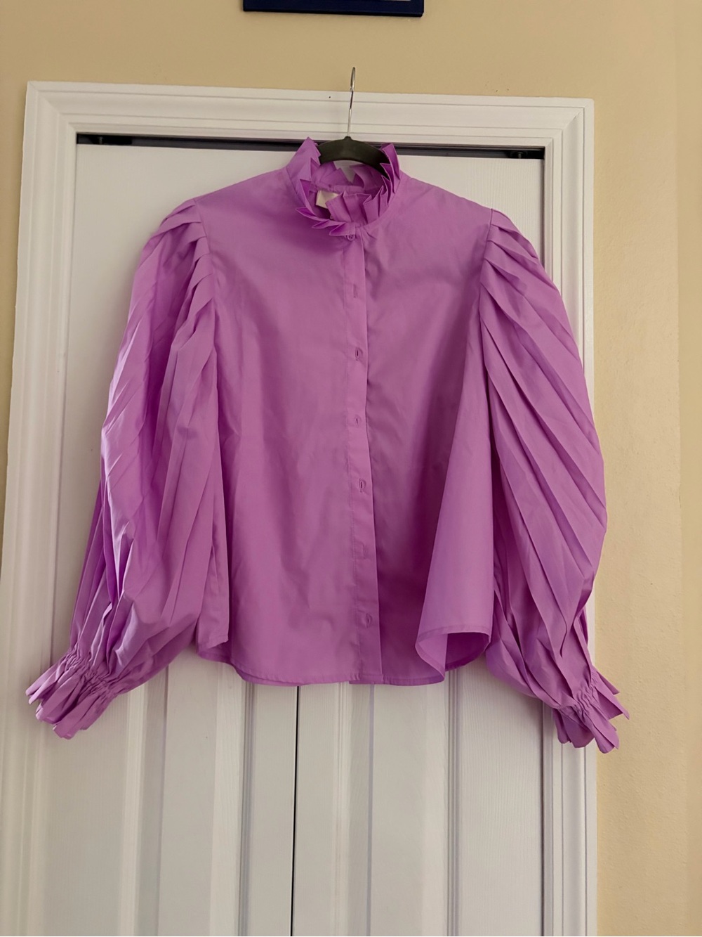 Pinch Lavender Pleated Puff-Sleeve Button-Down Blouse
